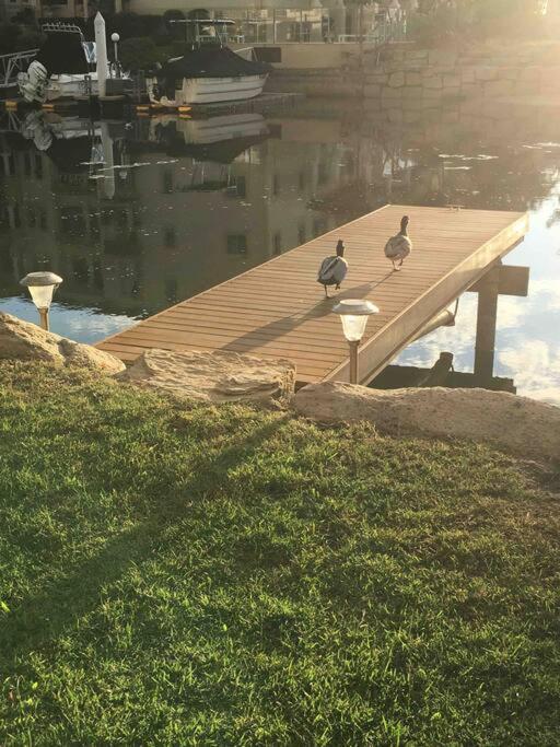 Broadwater Canal Frontage-Runaway Bay-Boat Ramp Gold Coast Esterno foto